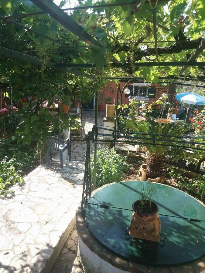 Nefeli'S Country House Kornata المظهر الخارجي الصورة